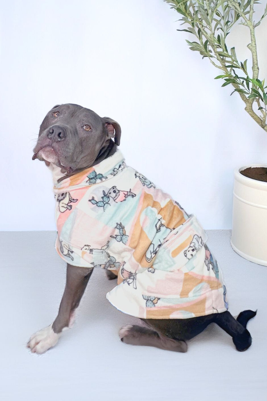 Dog Lounge Robe | Rescue Ranch