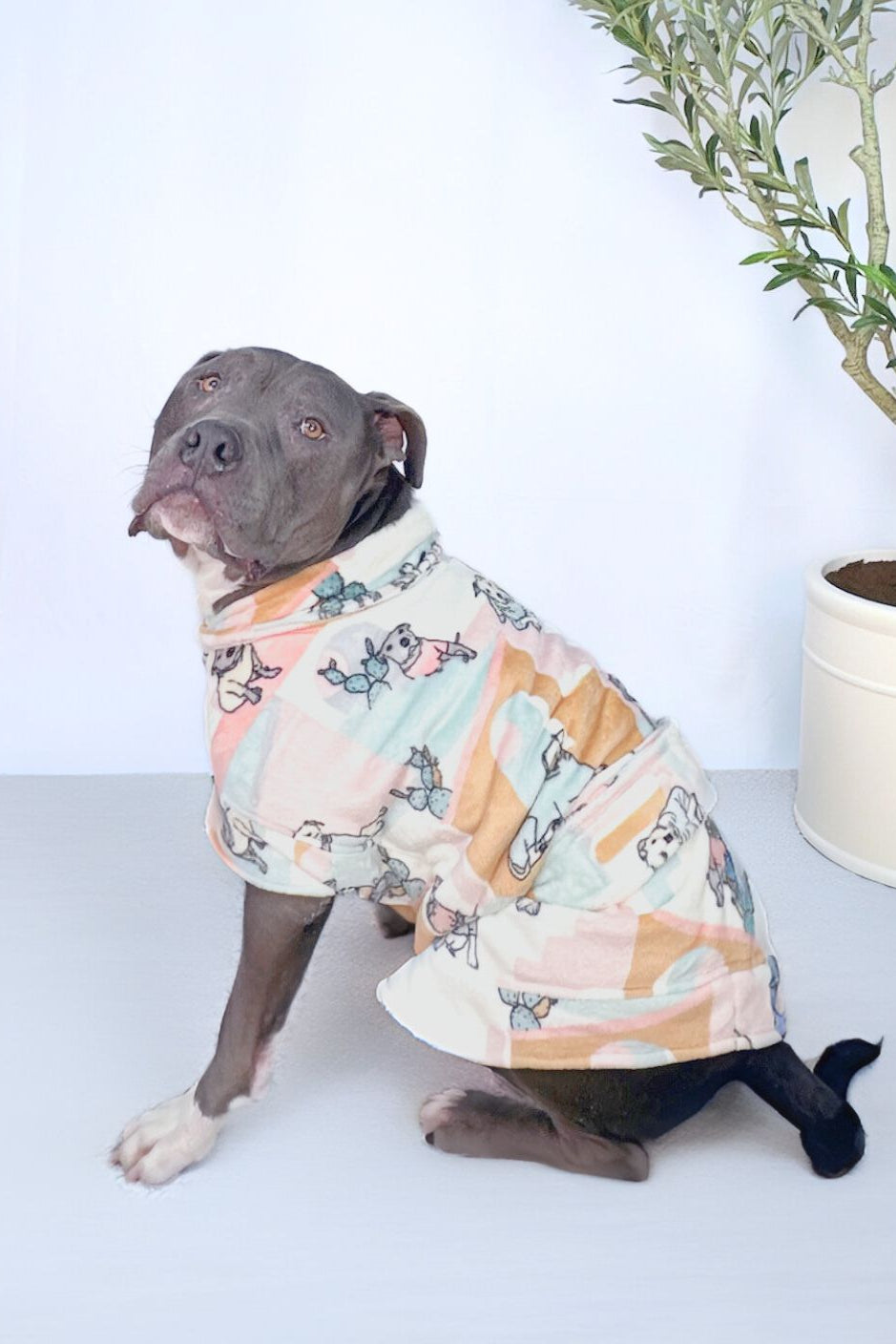 Dog Lounge Robe | Rescue Ranch