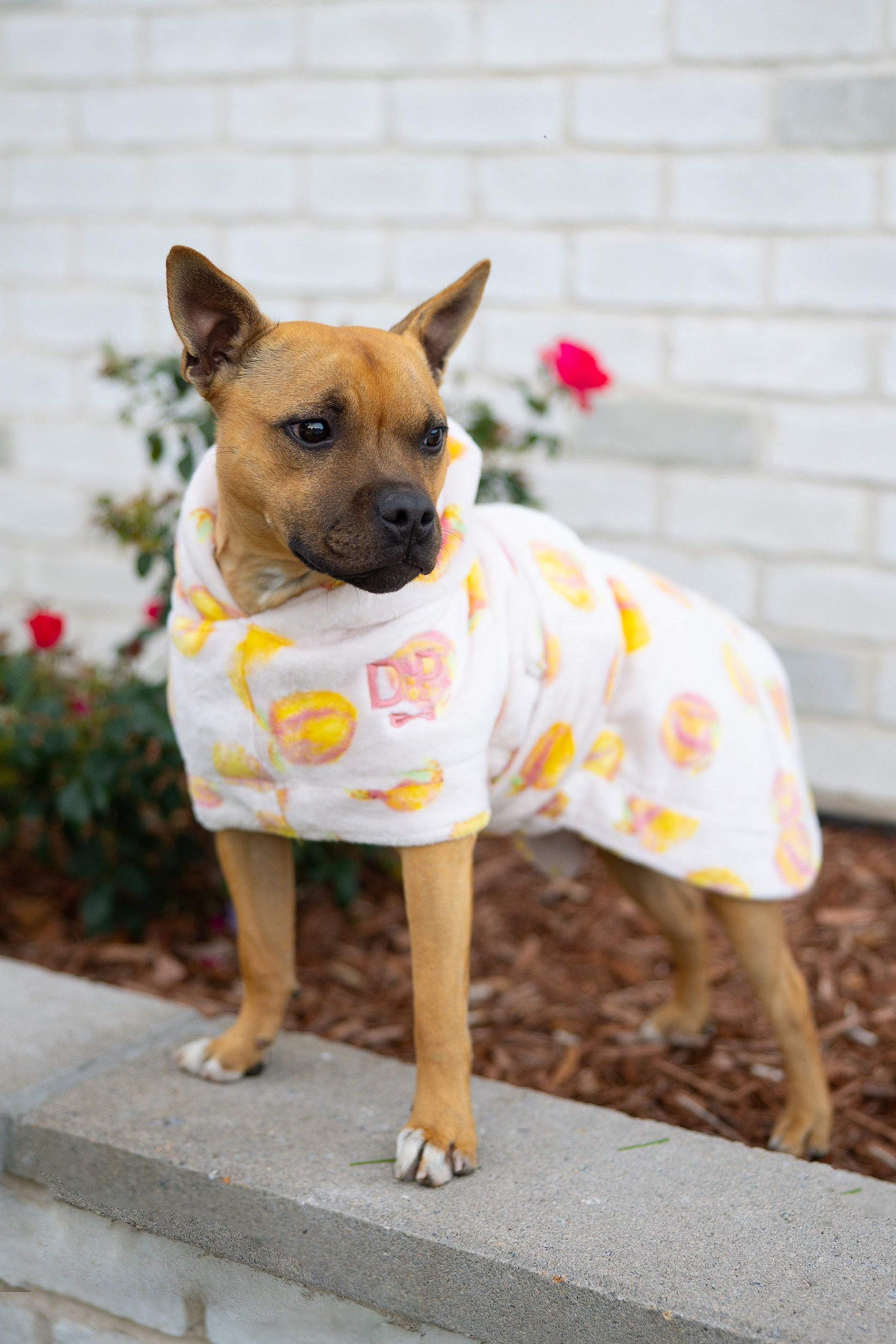 Dog Lounge Robe | Cutie Frutti, Peach