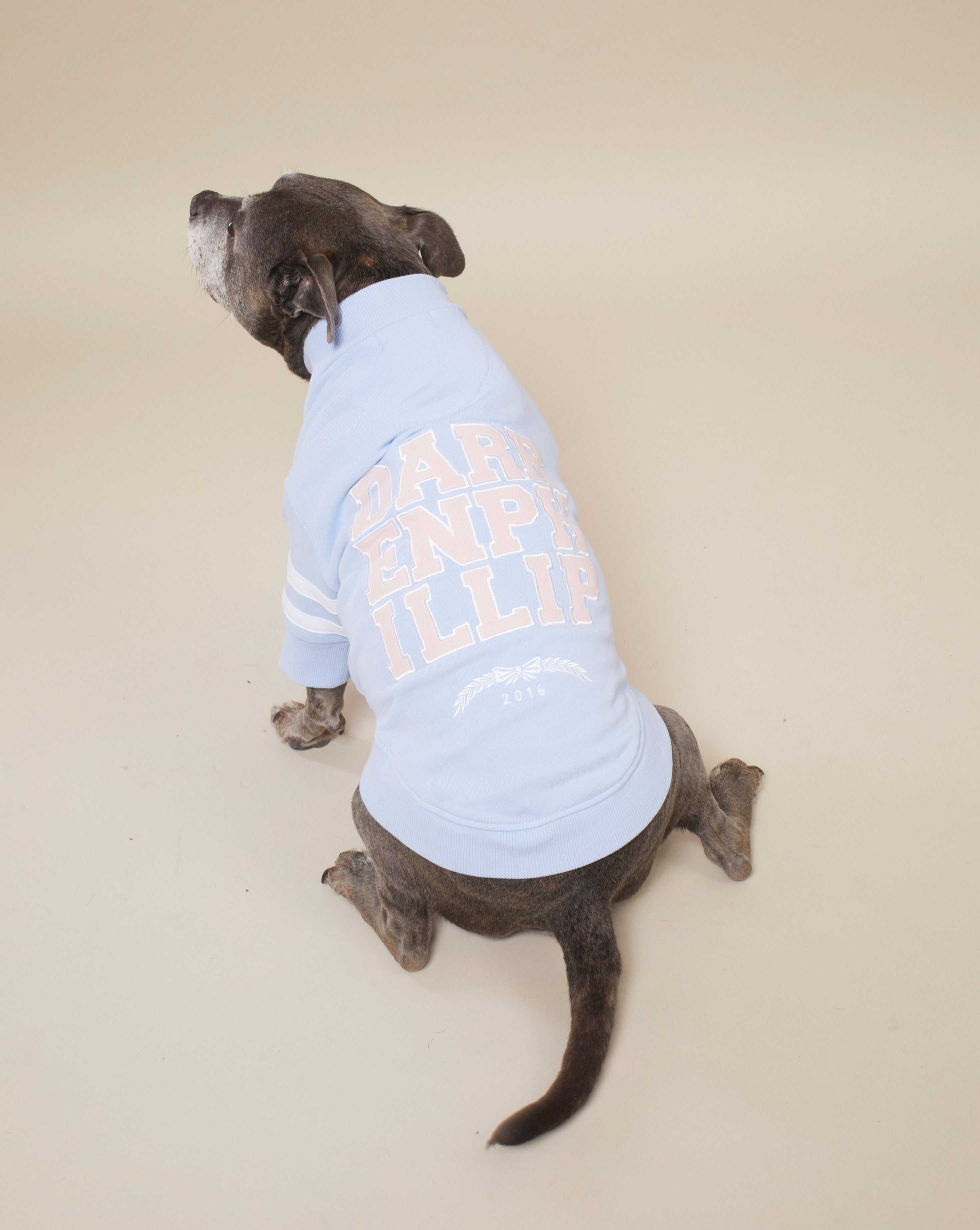 The Academy Dog Sweater - Bachelor Blue