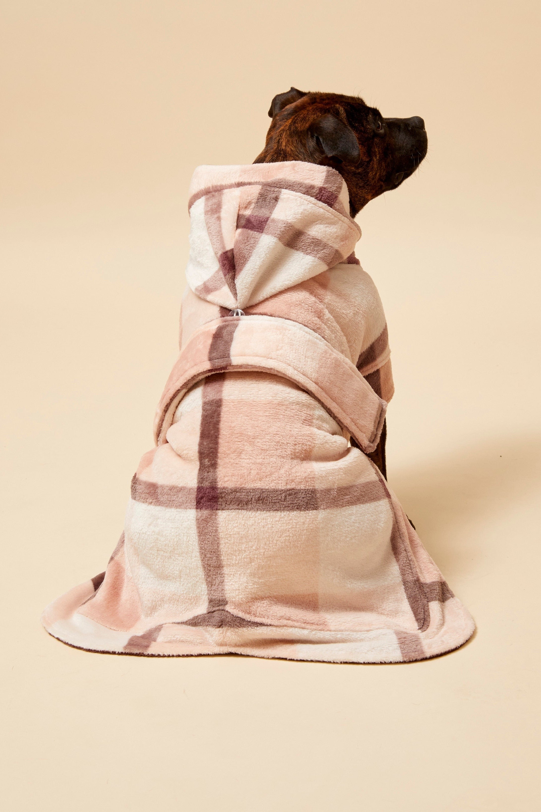 Darren and Phillip match your dog robes.