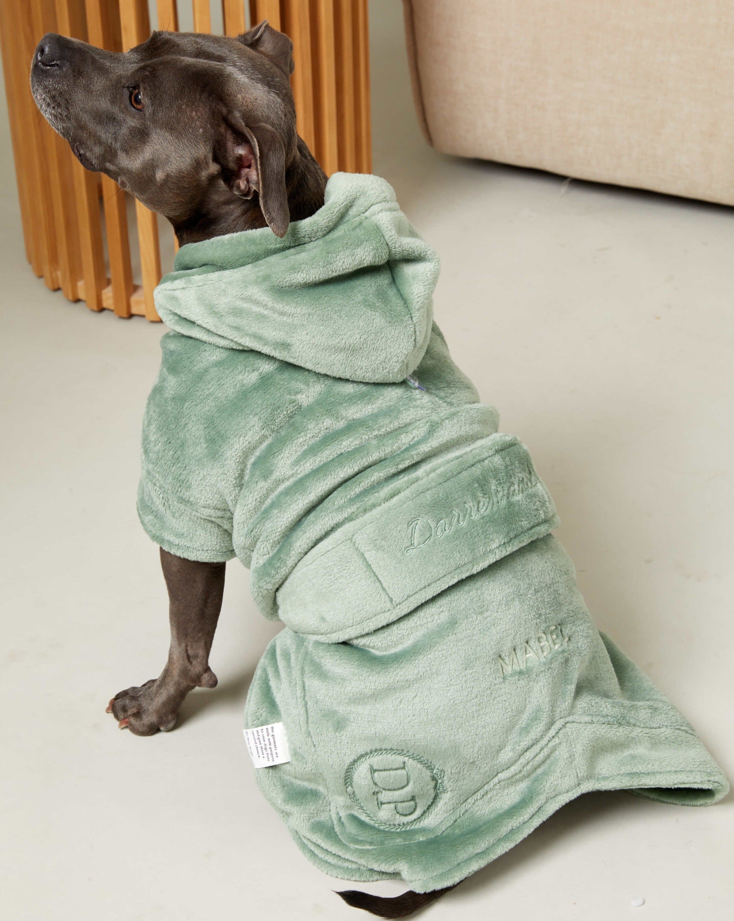 The Darren and Phillip personalised match your dog robe in green.