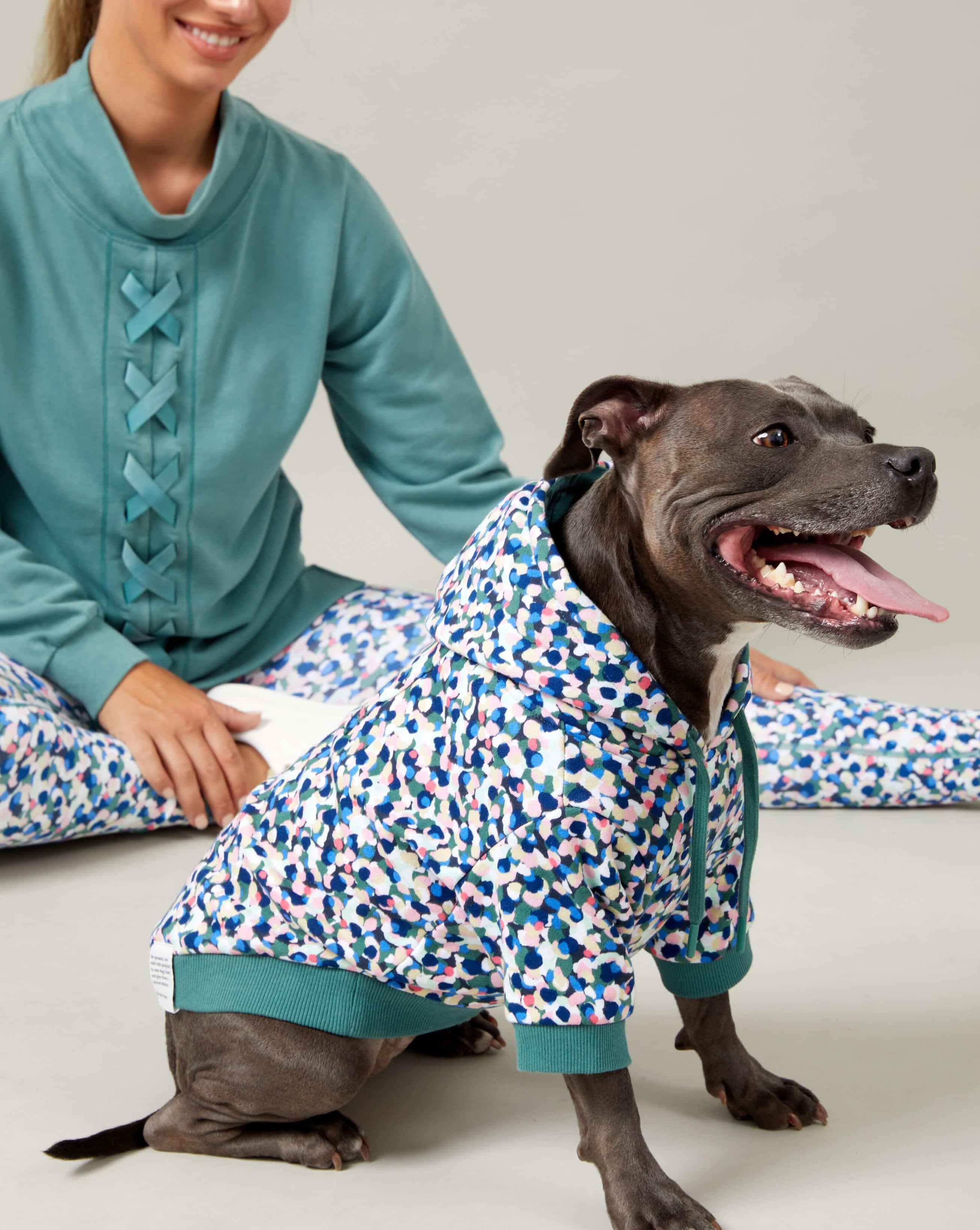 A smiling staffy wearing a printed Darren and Phillip dog hoodie.