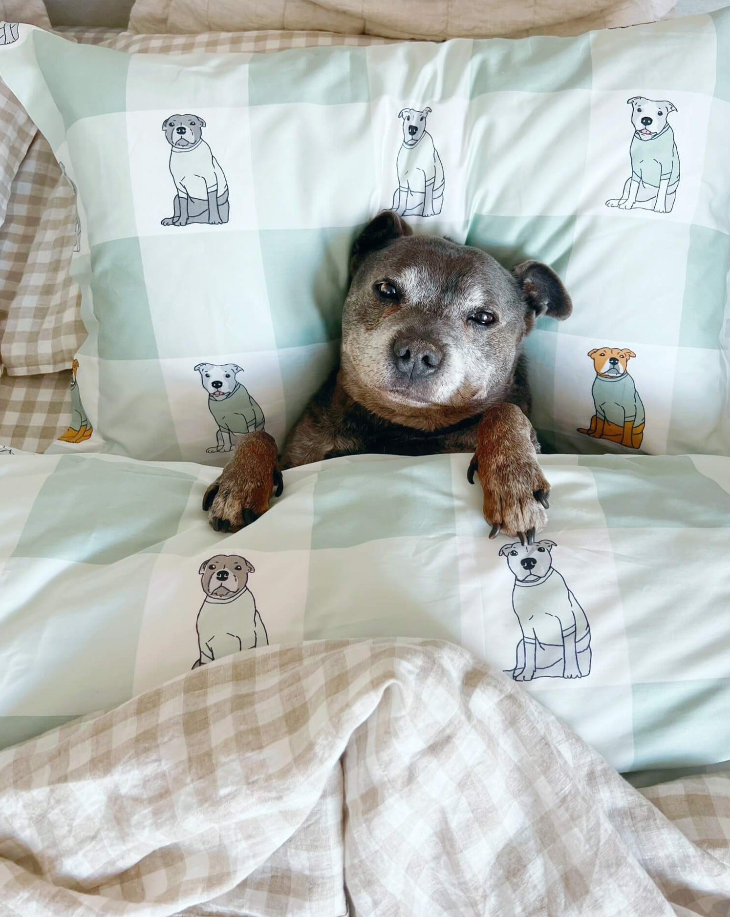 A dog in bed with a dog printed quilt cover.
