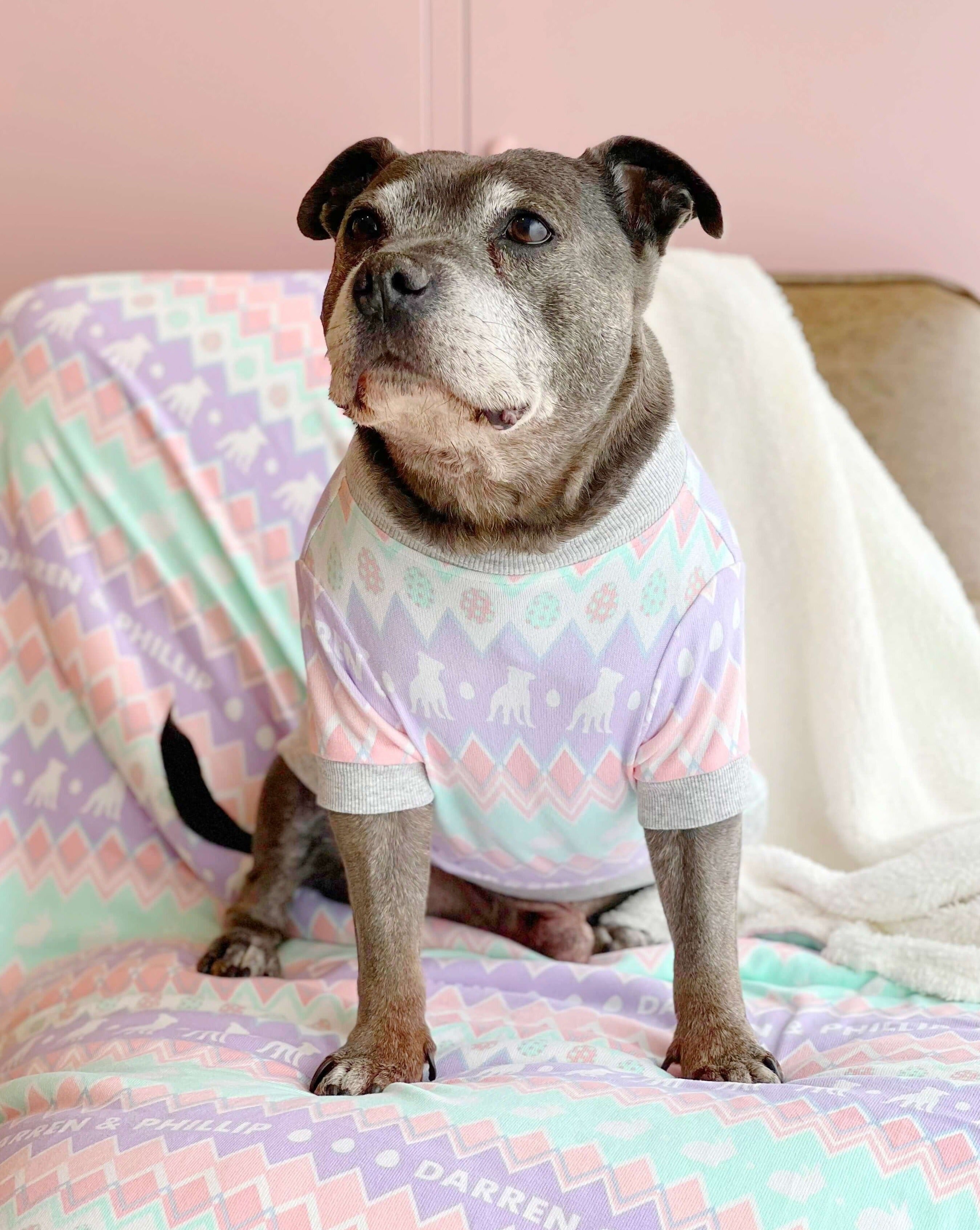 A staffy wearing Darren and Phillip Easter dog pyjamas.