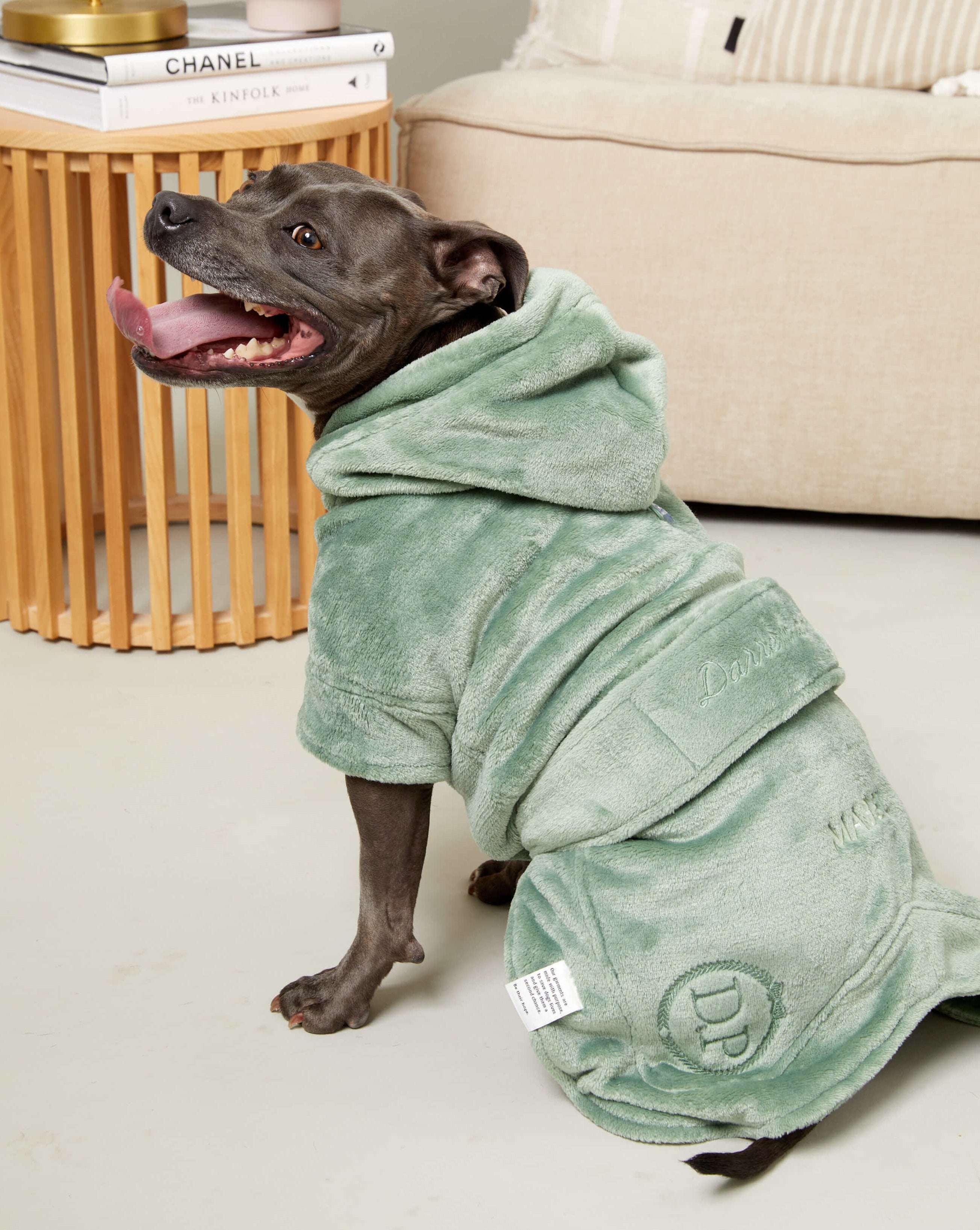 A Staffy wearing a green Darren and Phillip personalised calming dog robe.