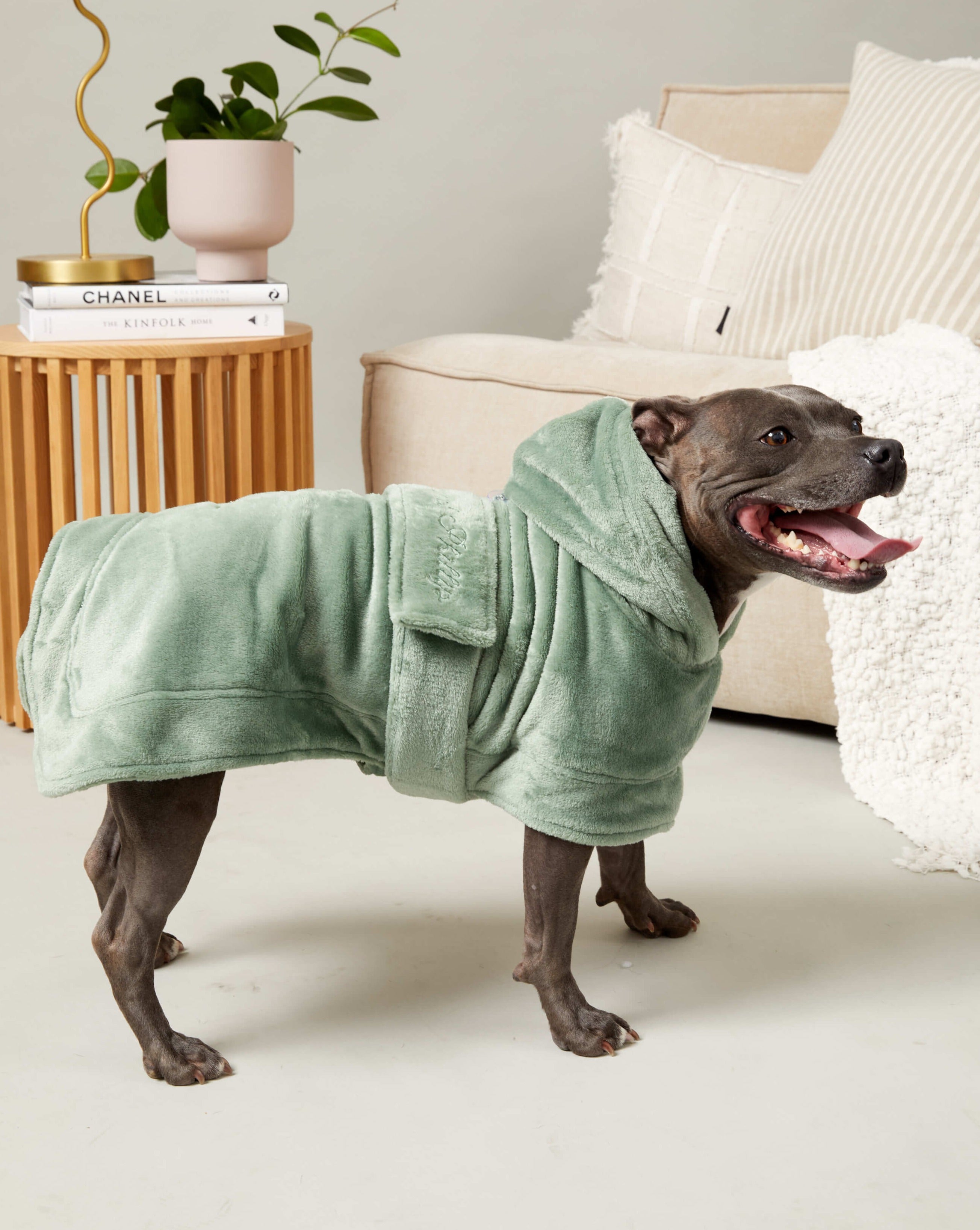 A smiling staffy wearing the Darren and Phillip calming Snuggle Buddy dog robe.
