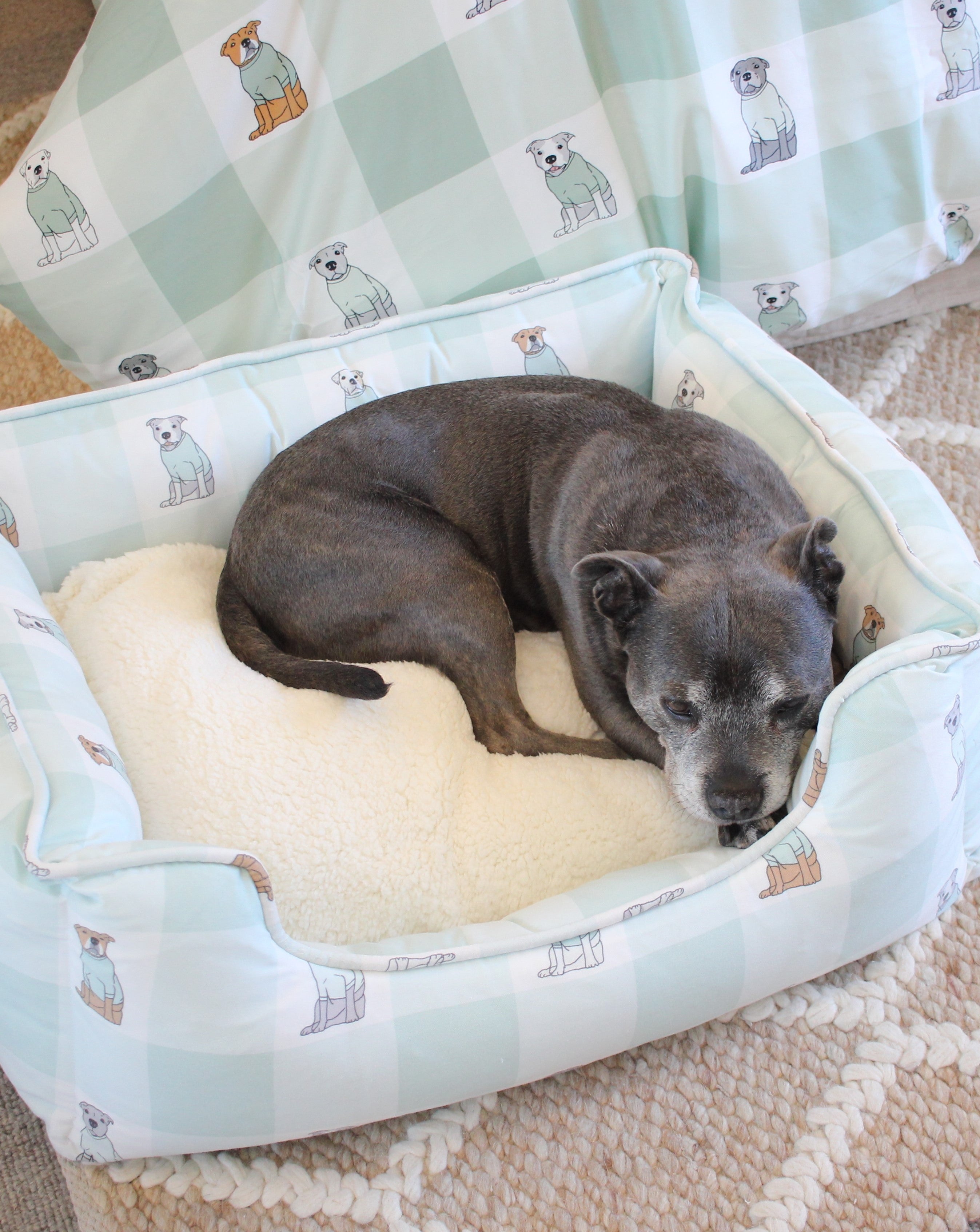 A dog resting in a removable cover dog bed from Darren and Phillip.