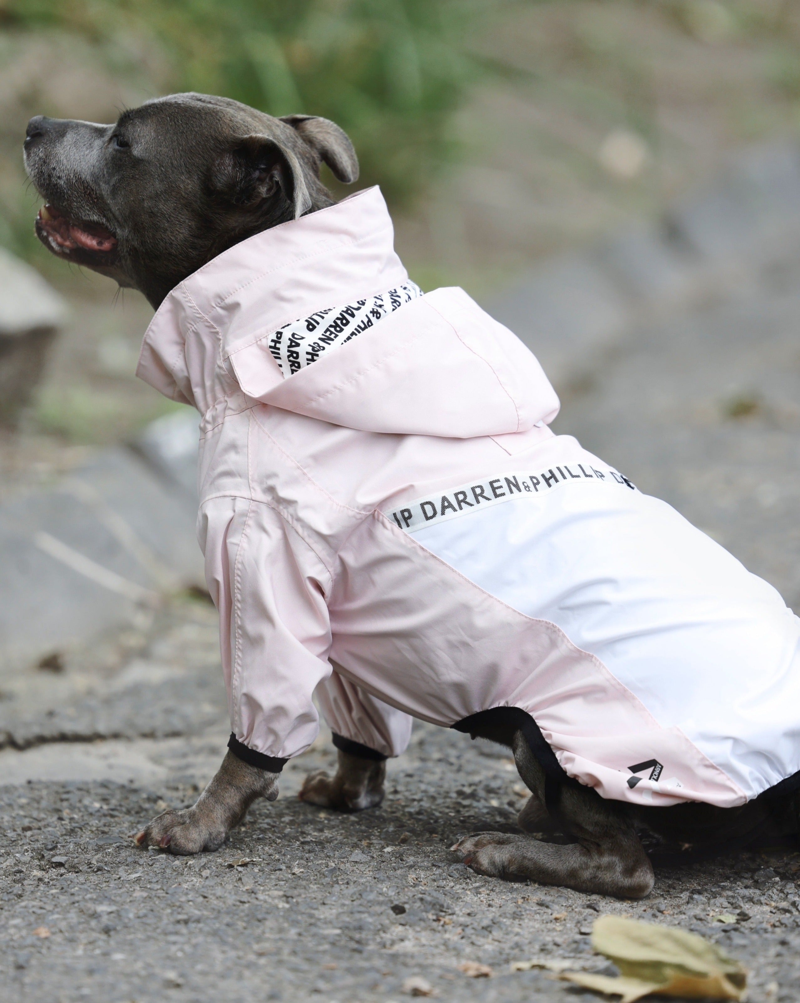 Raincoats for top staffies