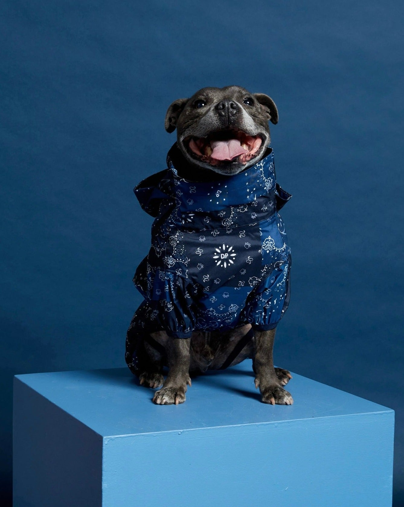 The Navy Patchwork Paisley Dog Raincoat