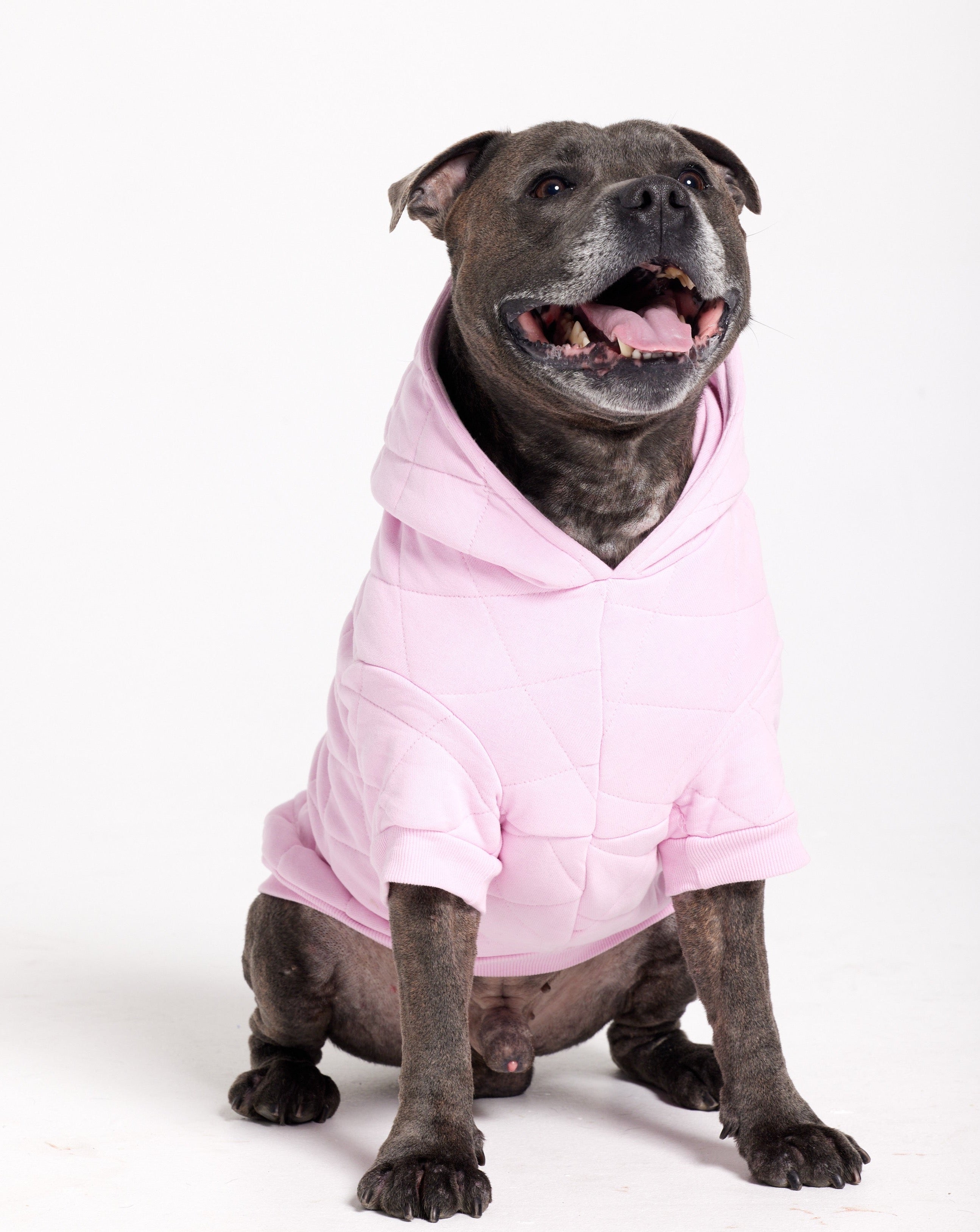 Essentials Quilted Dog Coat - Pink