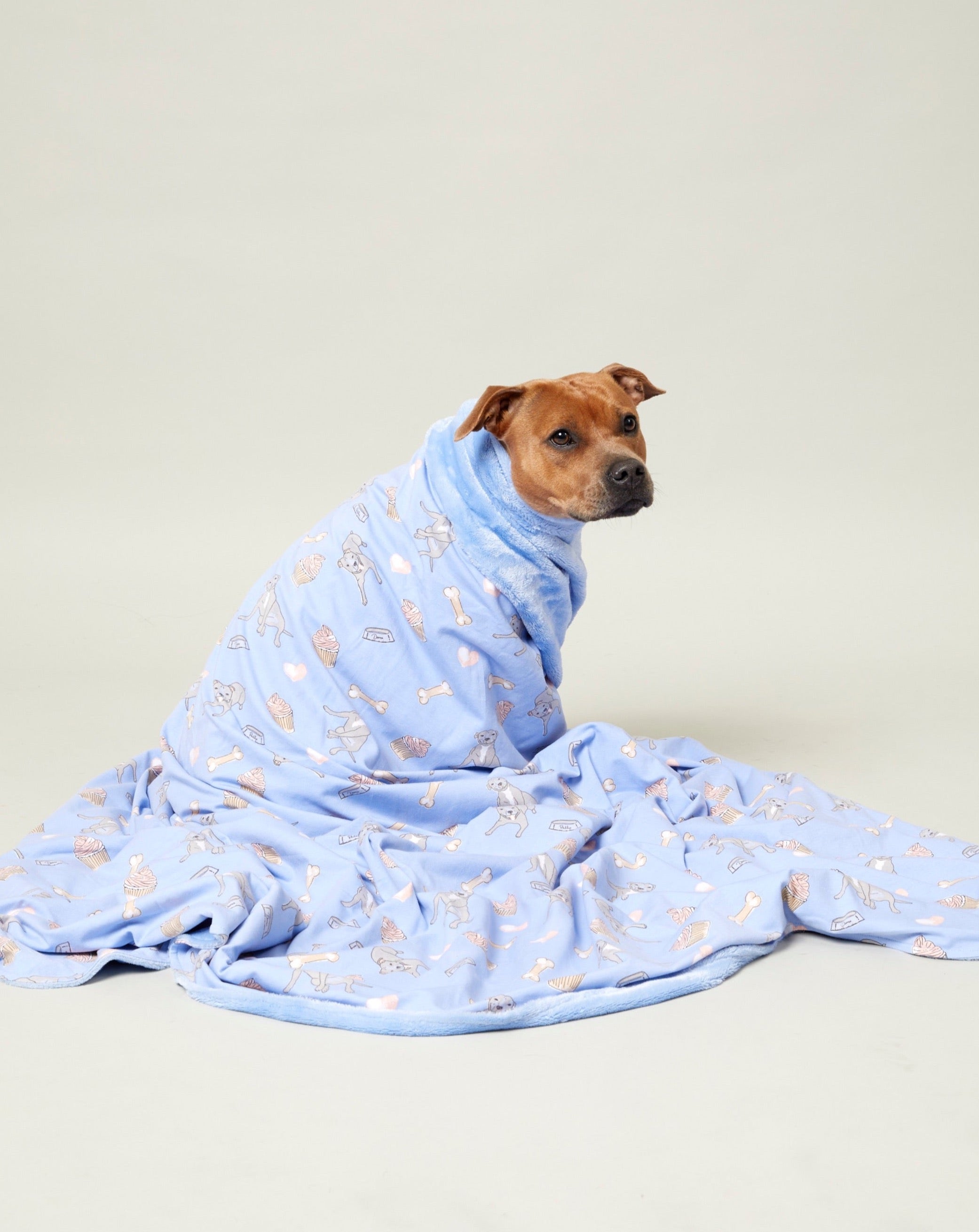 Bedtime Blue Blanket